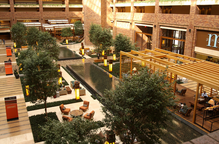 Hilton Anatole Renovation